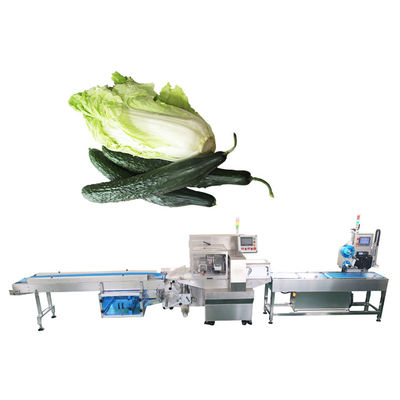 Tipo automático máquina do descanso de envolvimento vegetal da batata